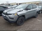 2020 Jeep Compass Trailhawk 4x4 Серый vin: 3C4NJDDB1LT163270