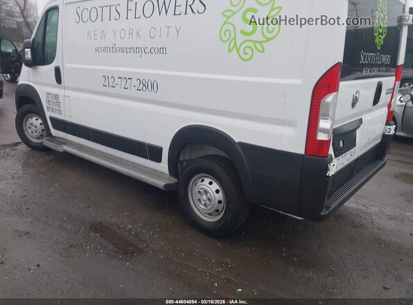 3C6LRVVG8PE572772 2023 RAM PROMASTER 2500 Бежевый Задняя левая четверть