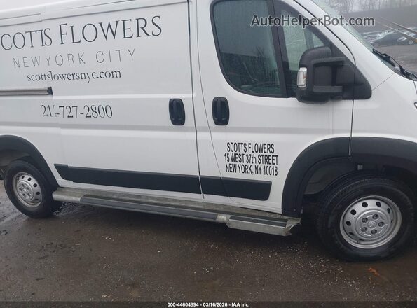 3C6LRVVG8PE572772 2023 RAM PROMASTER 2500 Бежевый Вид задней части салона