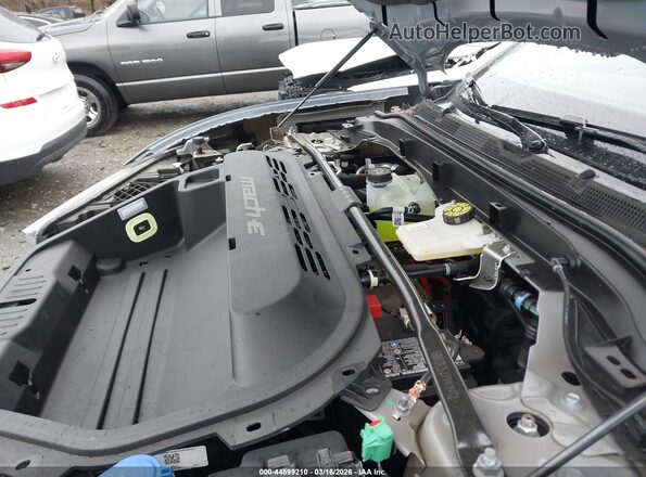 3FMTK1R45SMA08853 2025 FORD MUSTANG MACH-E Gray Widok z tyłu