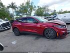 2025 Ford Mustang Mach-e Premium Красный vin: 3FMTK3R45SMA50788 2025 Ford Mustang Mach-e Premium Красный vin: 3FMTK3R45SMA50788