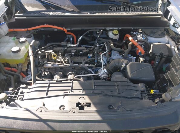 3FTTW8H34SRA42747 2025 FORD MAVERICK Белый Вид сзади