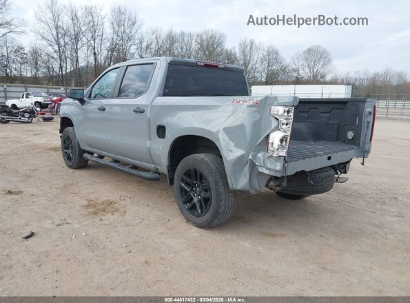 3GCPDCEK8RG141552 2024 CHEVROLET SILVERADO Gray Trasero izquierdo