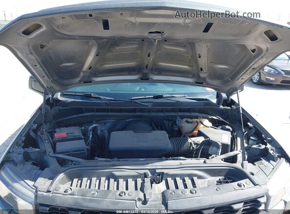 3GCPWBEH2MG186052 2021 CHEVROLET SILVERADO Серый Вид сзади