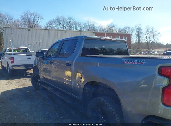 3GCPYFED4MG444750 2021 CHEVROLET SILVERADO Серый Панорамный вид салона 360°
