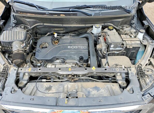 3GKALMEV1LL123356 2020 GMC TERRAIN Brown Вид задньої частини салону