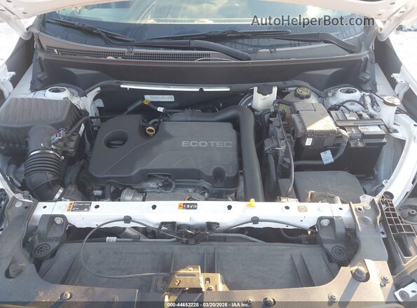 3GKALPEV0ML312521 2021 GMC TERRAIN Белый Вид сзади