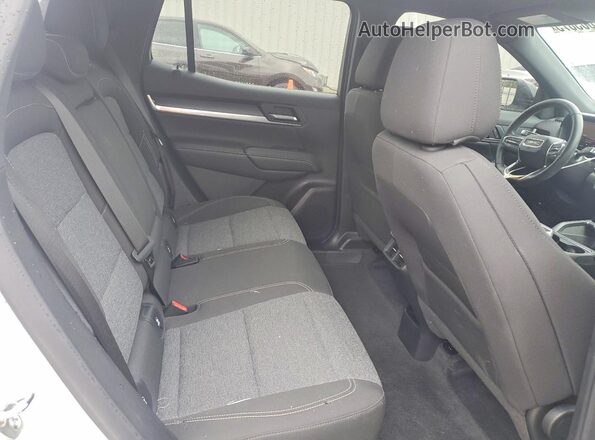 3GKALUEG2SL189401 2025 GMC TERRAIN Белый Вид задней части салона