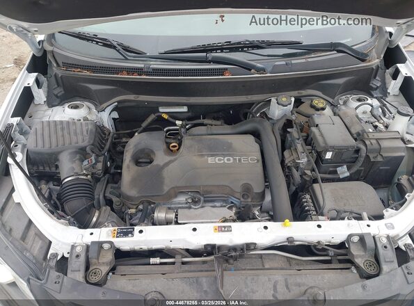 3GNAXHEV3LS652053 2020 CHEVROLET EQUINOX Белый Вид сзади