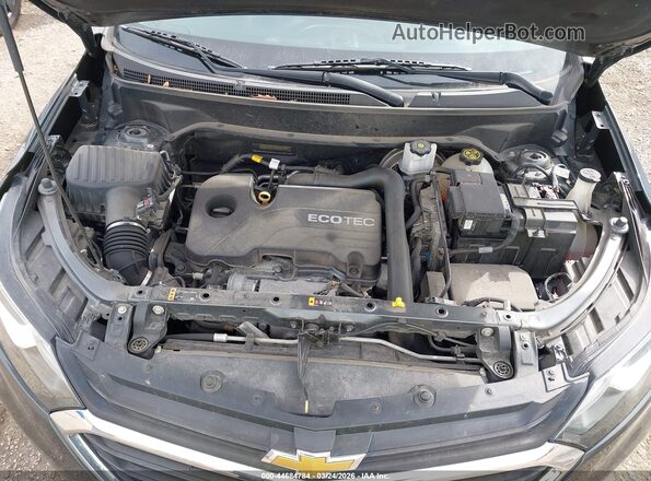 3GNAXKEV2KL366197 2019 CHEVROLET EQUINOX Gray Widok z tyłu