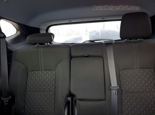 3GNKBGRS3KS650542 2019 CHEVROLET BLAZER Белый Вид задних сидений