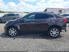 2016 Cadillac Srx Premium Collection Purple vin: 3GYFNDE34GS530880