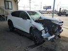 2025 Acura Adx A-spec Advance White vin: 3HDSA2H78SM704075