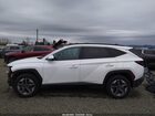 2025 Hyundai Tucson Sel White vin: 3KMJBCDEXSE002139