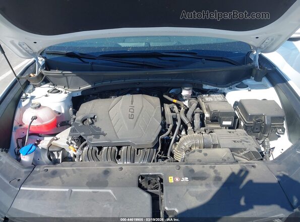 3KMJC3DE3SE020012 2025 HYUNDAI TUCSON Белый Вид сзади