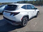 2025 Hyundai Tucson Sel Convenience Белый vin: 3KMJC3DE3SE020012