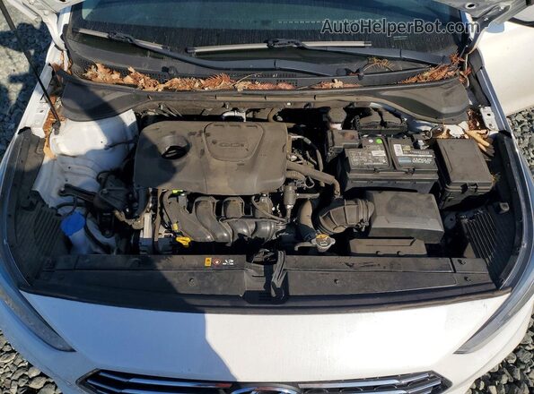 3KPC24A30KE071684 2019 HYUNDAI ACCENT Белый Вид задней части салона