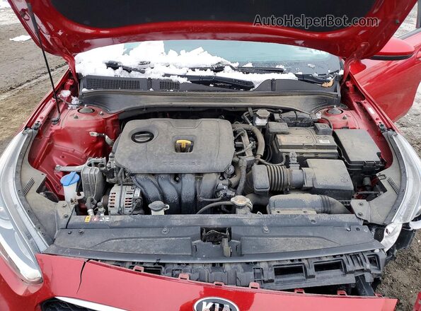 3KPF24AD2ME336307 2021 KIA FORTE Бордовый Вид задней части салона