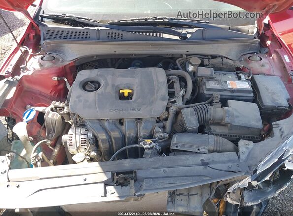 3KPF24AD7KE034282 2019 KIA FORTE Red Widok z tyłu