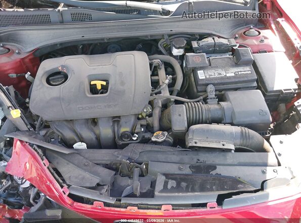3KPF24AD7KE052491 2019 KIA FORTE Красный Вид сзади