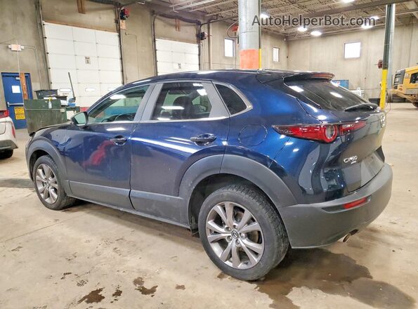 3MVDMBCLXLM118676 2020 MAZDA CX-30 Blue უკანა მარცხენა