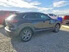 2024 Mazda Cx-30 Preferred Black vin: 3MVDMBCM8RM720008 2024 Mazda Cx-30 Preferred Black vin: 3MVDMBCM8RM720008