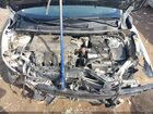 2017 Nissan Sentra S/sl/sr/sv Белый vin: 3N1AB7AP0HY365446