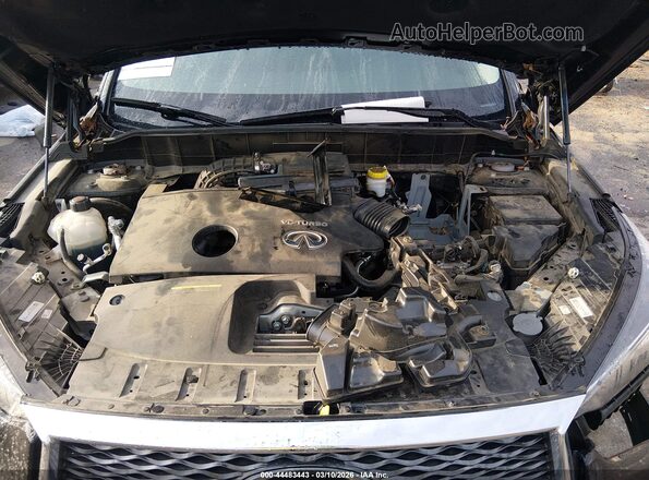3PCAJ5BA0PF102754 2023 INFINITI QX50 Черный Вид сзади