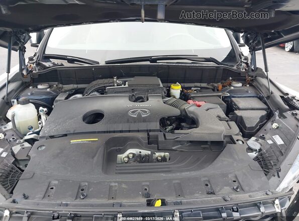 3PCAJ5BA3PF120634 2023 INFINITI QX50 Синий Вид сзади