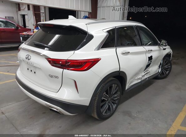 3PCAJ5BA8MF109916 2021 INFINITI QX50 White Rear right