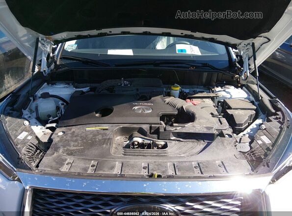 3PCAJ5BB3RF109175 2024 INFINITI QX50 White Widok z tyłu