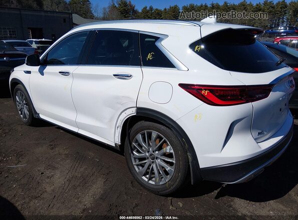 3PCAJ5BB3RF109175 2024 INFINITI QX50 White Tył lewy