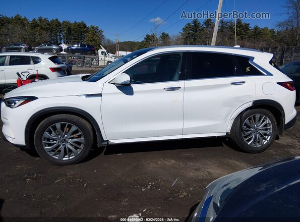3PCAJ5BB3RF109175 2024 INFINITI QX50 White Widok wnętrza 360 stopni