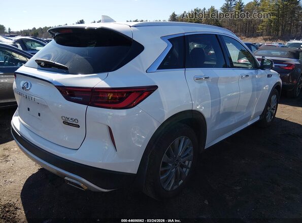 3PCAJ5BB3RF109175 2024 INFINITI QX50 White Tył prawy