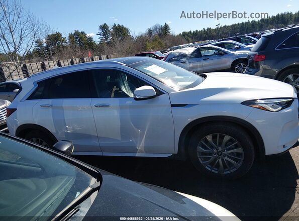 3PCAJ5BB3RF109175 2024 INFINITI QX50 White Widok wnętrza z tyłu