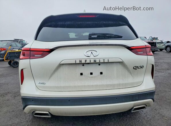 3PCAJ5BB9MF121663 2021 INFINITI QX50 White უკანა ხედი