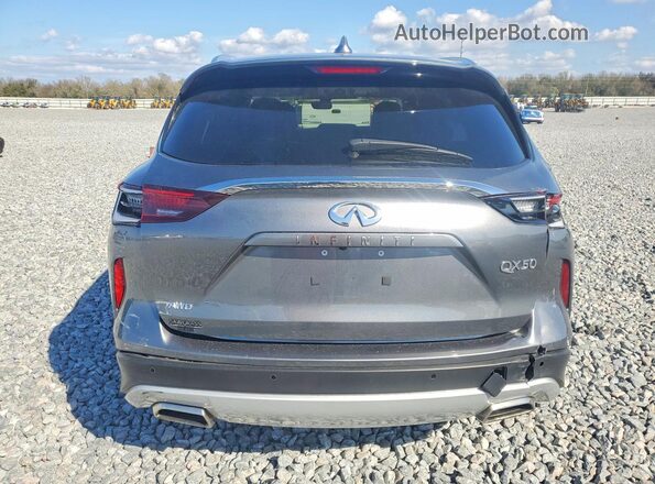 3PCAJ5BBXSF107798 2025 INFINITI QX50 Серый Вид сзади