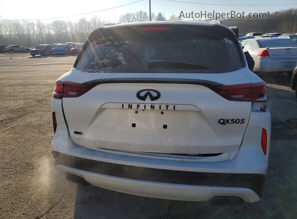 3PCAJ5FB0SF110736 2025 INFINITI QX50 Белый Вид сзади