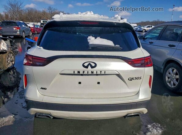 3PCAJ5FB3SF110357 2025 INFINITI QX50 Белый Вид сзади