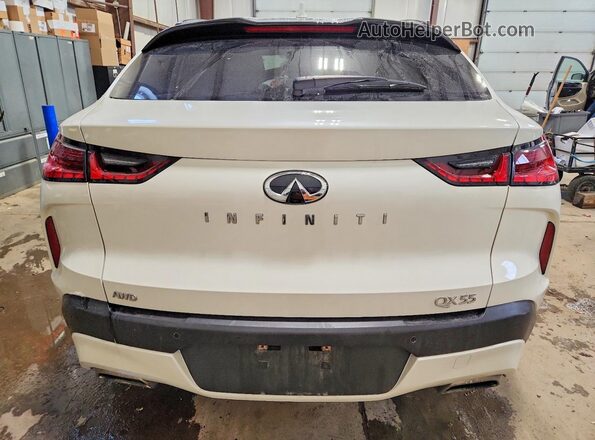 3PCAJ5J36NF107554 2022 INFINITI QX55 Белый Вид сзади