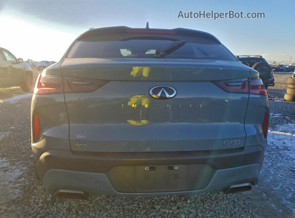 3PCAJ5JR0SF103676 2025 INFINITI QX55 Серый Вид сзади
