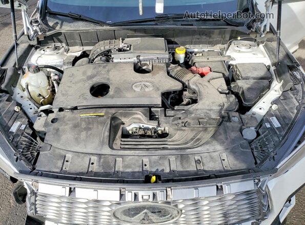 3PCAJ5LR4PF121313 2023 INFINITI QX55 White Widok wnętrza z tyłu