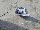 2023 Infiniti Qx55 Sensory White vin: 3PCAJ5LR4PF121313