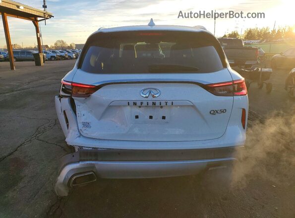 3PCAJ5M34KF124814 2019 INFINITI QX50 Белый Вид сзади