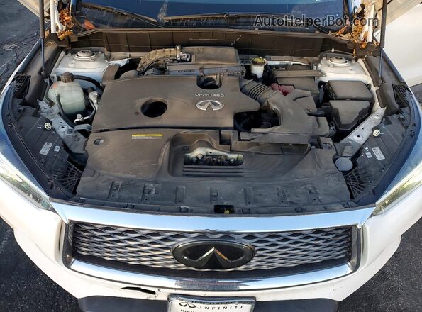 3PCAJ5M34KF124814 2019 INFINITI QX50 Белый Вид задней части салона