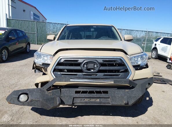 3TMBZ5DN6JM012539 2018 TOYOTA TACOMA Tan Սալոնի հետևի տեսք