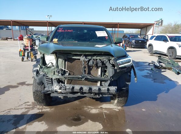 3TMCZ5AN6MM419189 2021 TOYOTA TACOMA Green Вид задньої частини салону