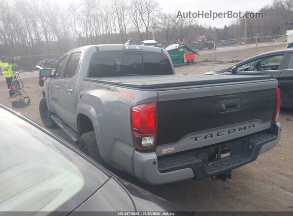 3TMCZ5AN8LM351976 2020 TOYOTA TACOMA Синий Задняя левая четверть
