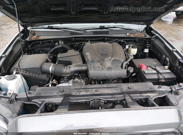 3TMDZ5BN1LM088541 2020 TOYOTA TACOMA 4WD Gray Rear view