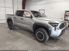 2024 Toyota Tacoma Trd Off Road Silver vin: 3TMLB5JN3RM054241